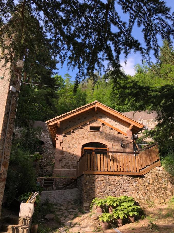 La Del Bosc Apartamento